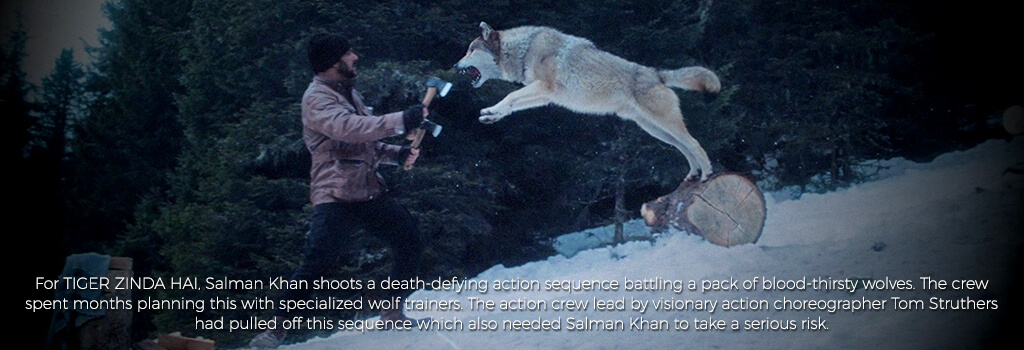 Salman Khan shoots a death-defying action sequence battling a pack of blood-thirsty wolves